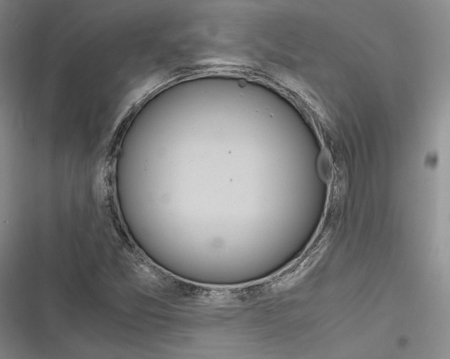 X0000116861357201001121232