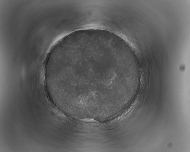 X0000116861358201001121232