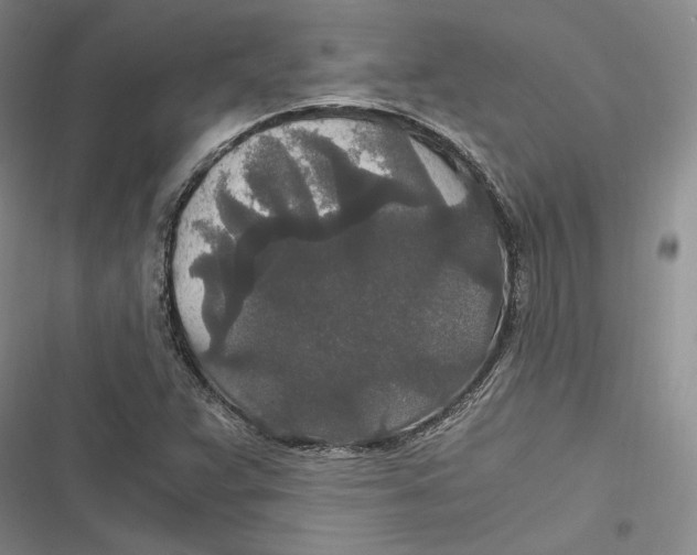 X0000116861359201001121232