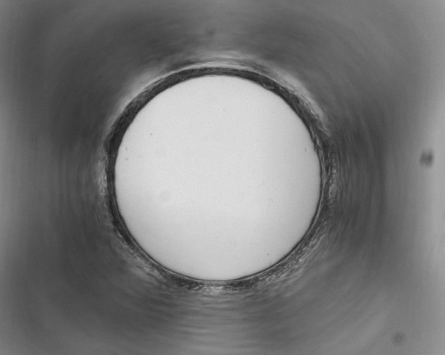 X0000116861360201001121232