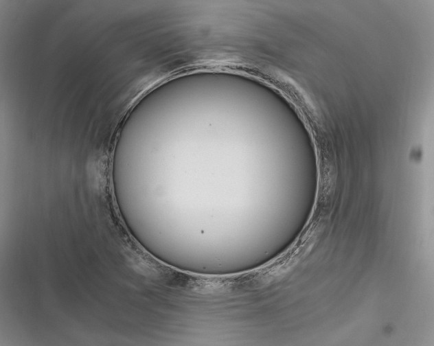 X0000116861361201001121232