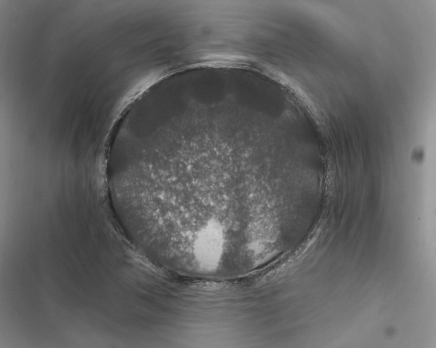 X0000116861362201001121232