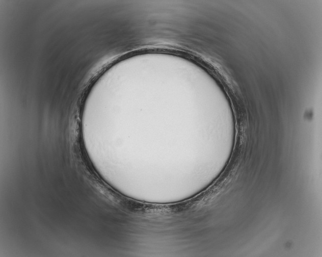 X0000116861363201001121232