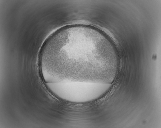 X0000116861364201001121232