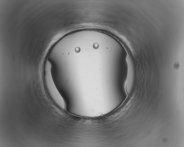 X0000116861365201001121232