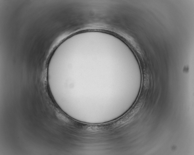 X0000116861366201001121232