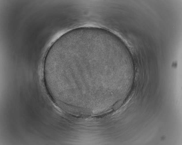 X0000116861367201001121232