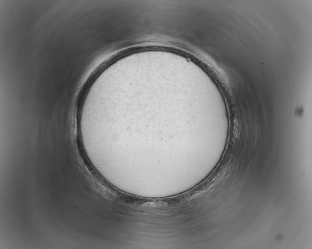 X0000116861368201001121232