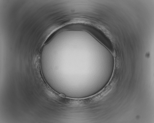 X0000116861369201001121232