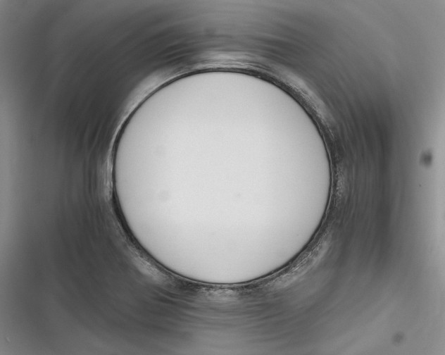 X0000116861370201001121232