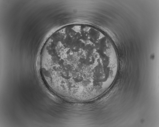 X0000116861371201001121232