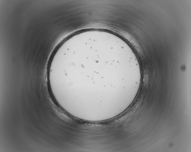 X0000116861372201001121232