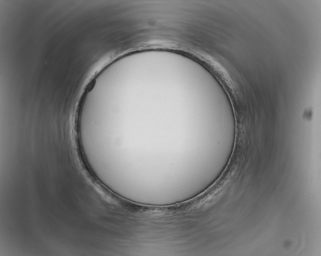 X0000116861373201001121232