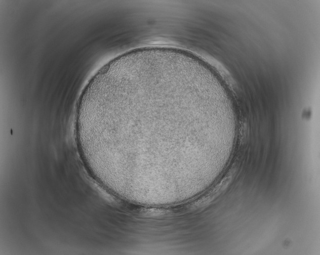 X0000116861374201001121232