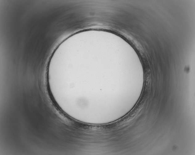 X0000116861375201001121232