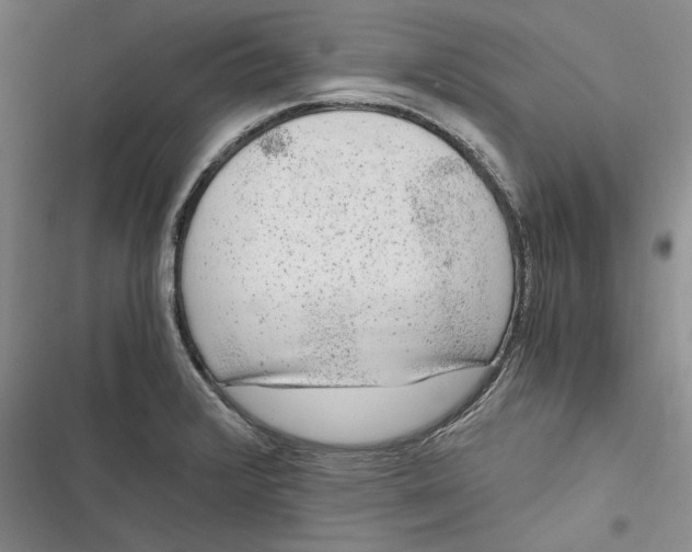 X0000116861376201001121232