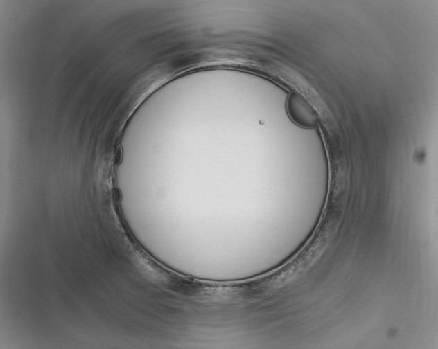 X0000116861377201001121232