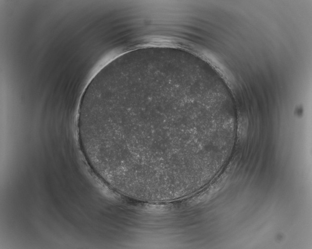 X0000116861378201001121232