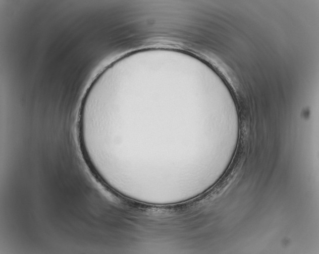 X0000116861379201001121232