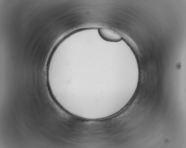 X0000116861380201001121232