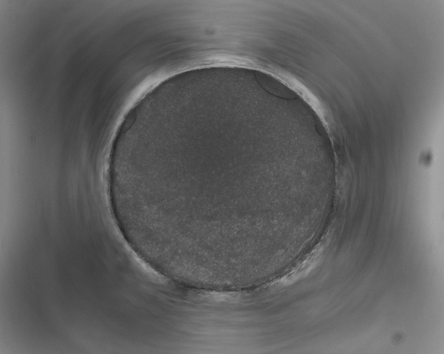 X0000116861381201001121232