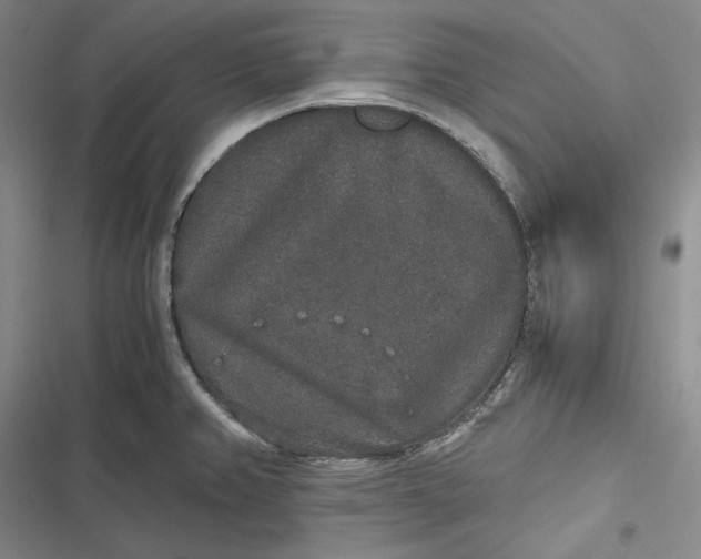 X0000116861382201001121232