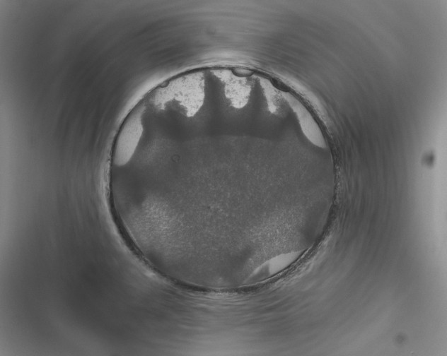 X0000116861383201001121232