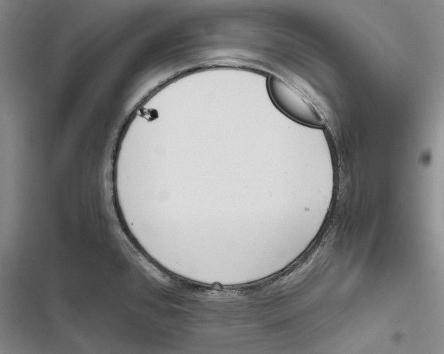 X0000116861384201001121232