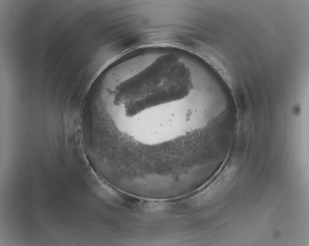 X0000116861385201001121232