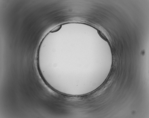 X0000116861387201001121231