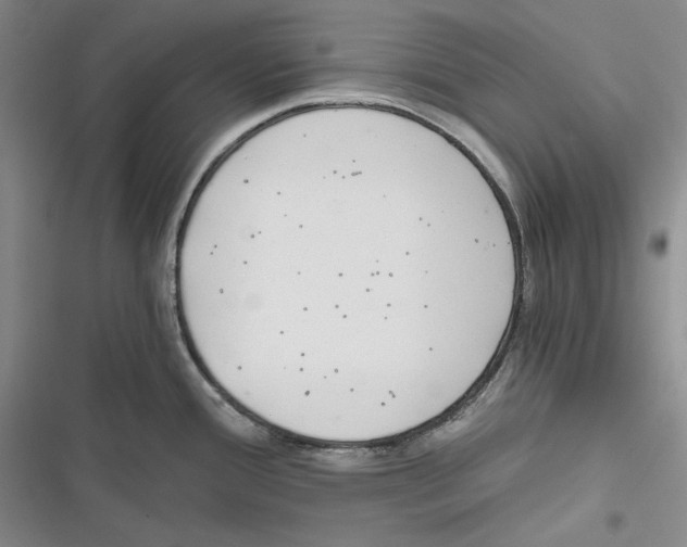 X0000116861388201001121231