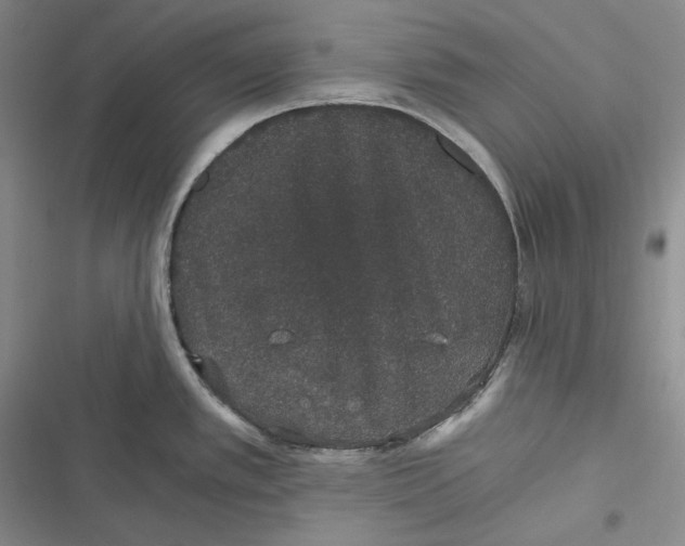 X0000116861389201001121231