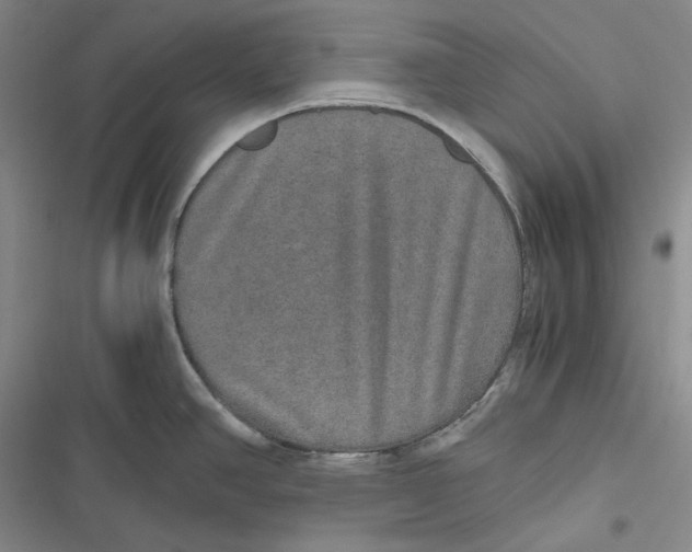 X0000116861390201001121231