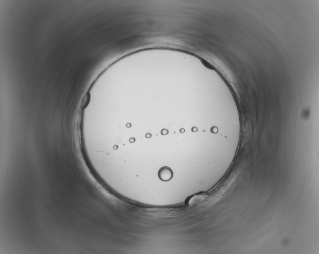 X0000116861391201001121231