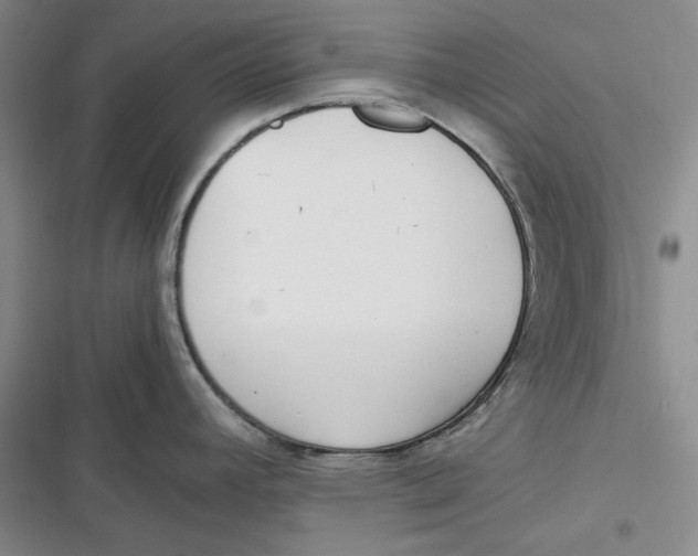 X0000116861392201001121231