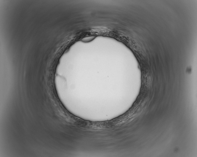 X0000116861393201001121231