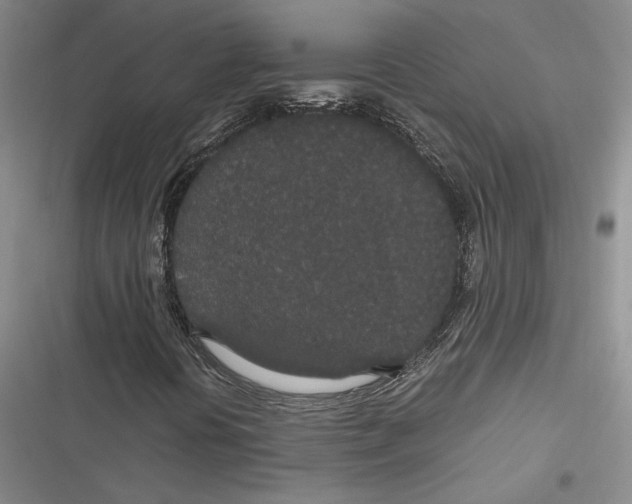 X0000116861394201001121231