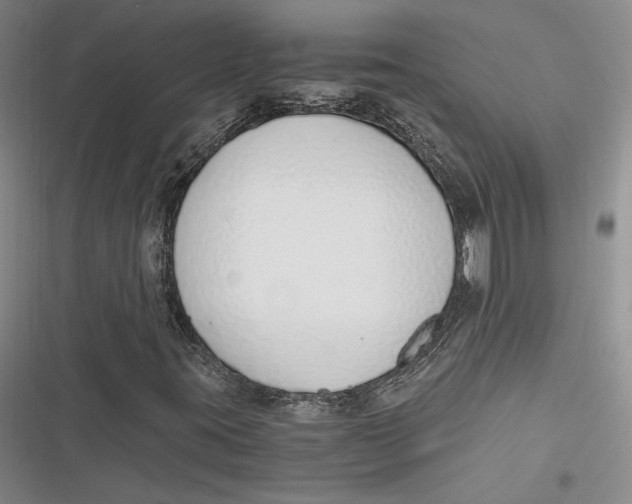 X0000116861395201001121231