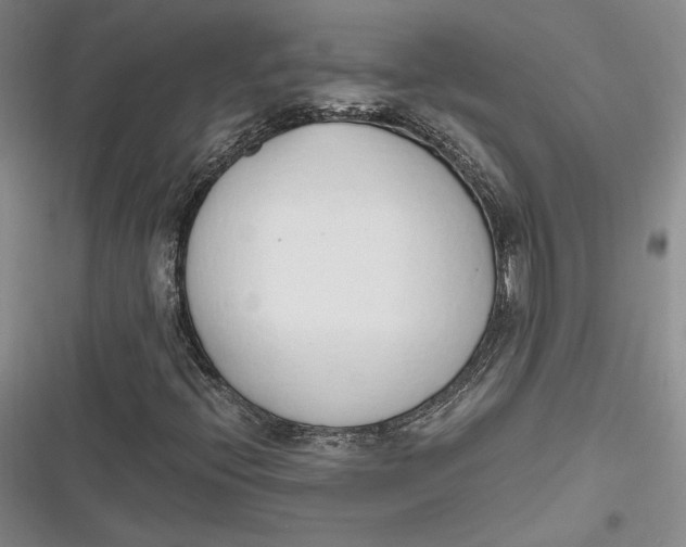 X0000116861396201001121231