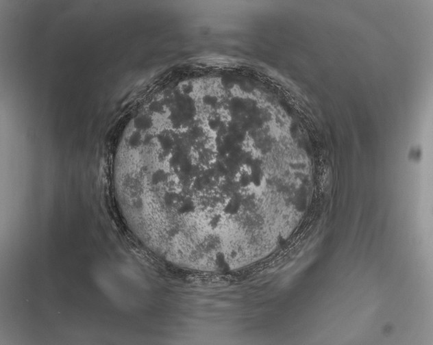 X0000116861397201001121231