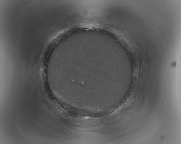 X0000116861398201001121231