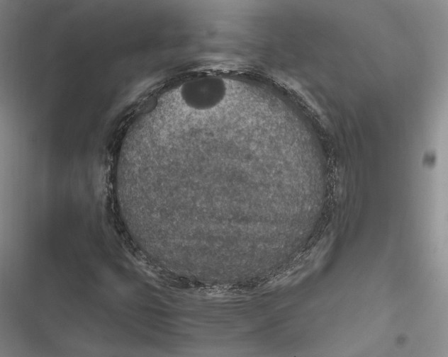 X0000116861399201001121231