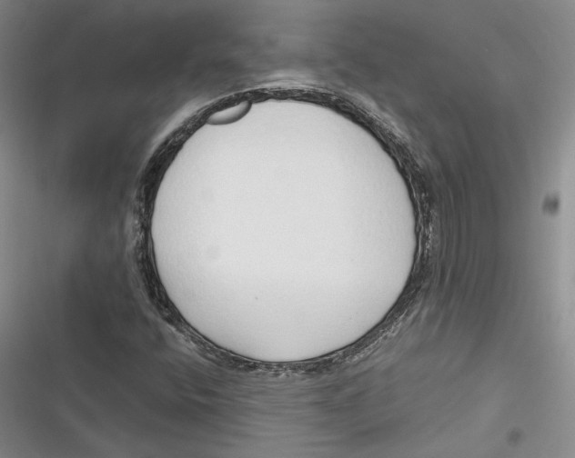 X0000116861400201001121231