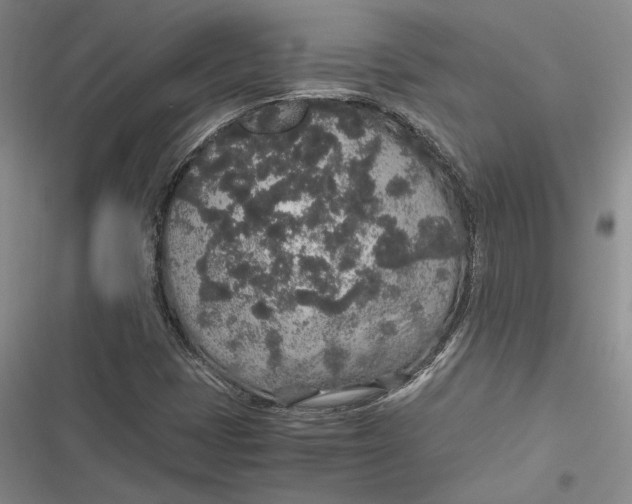 X0000116861401201001121231