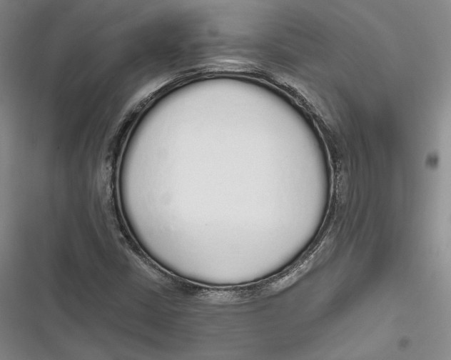 X0000116861402201001121231