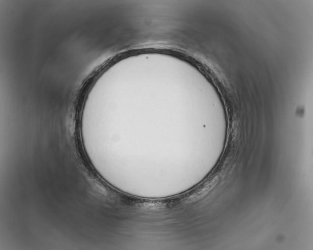 X0000116861406201001121231