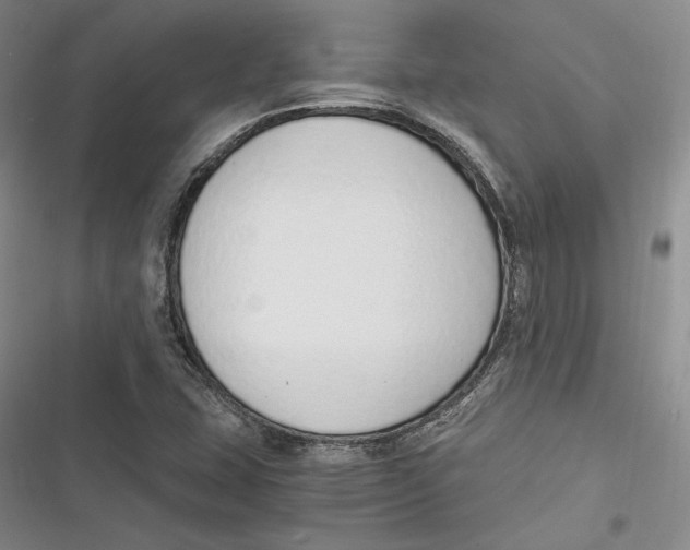 X0000116861407201001121231