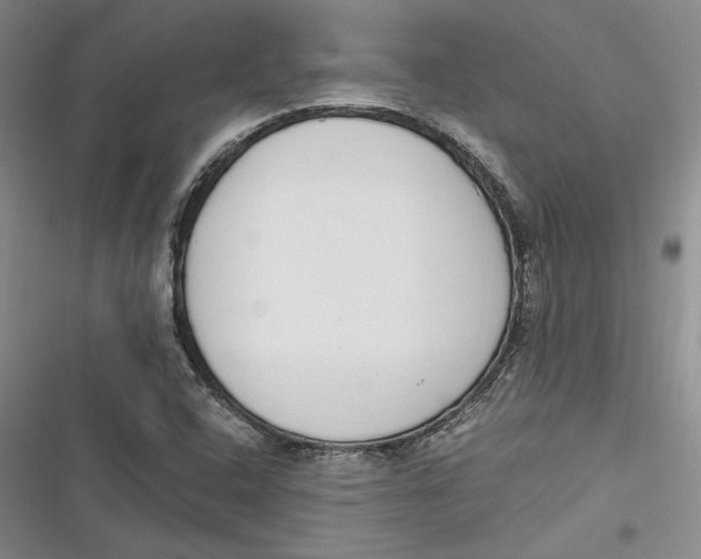 X0000116861408201001121231