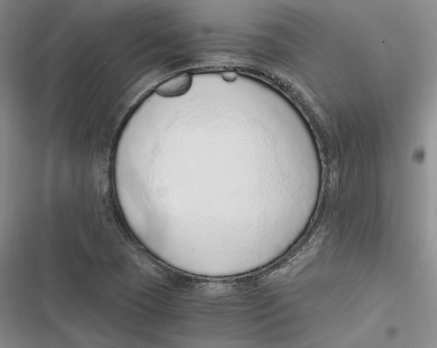 X0000116861409201001121231