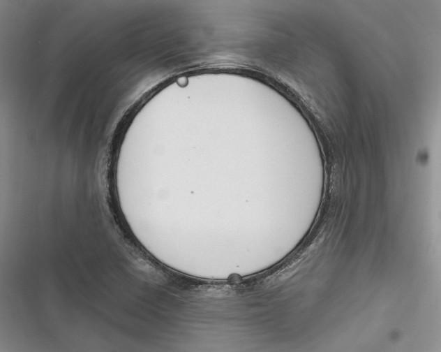 X0000116861410201001121231